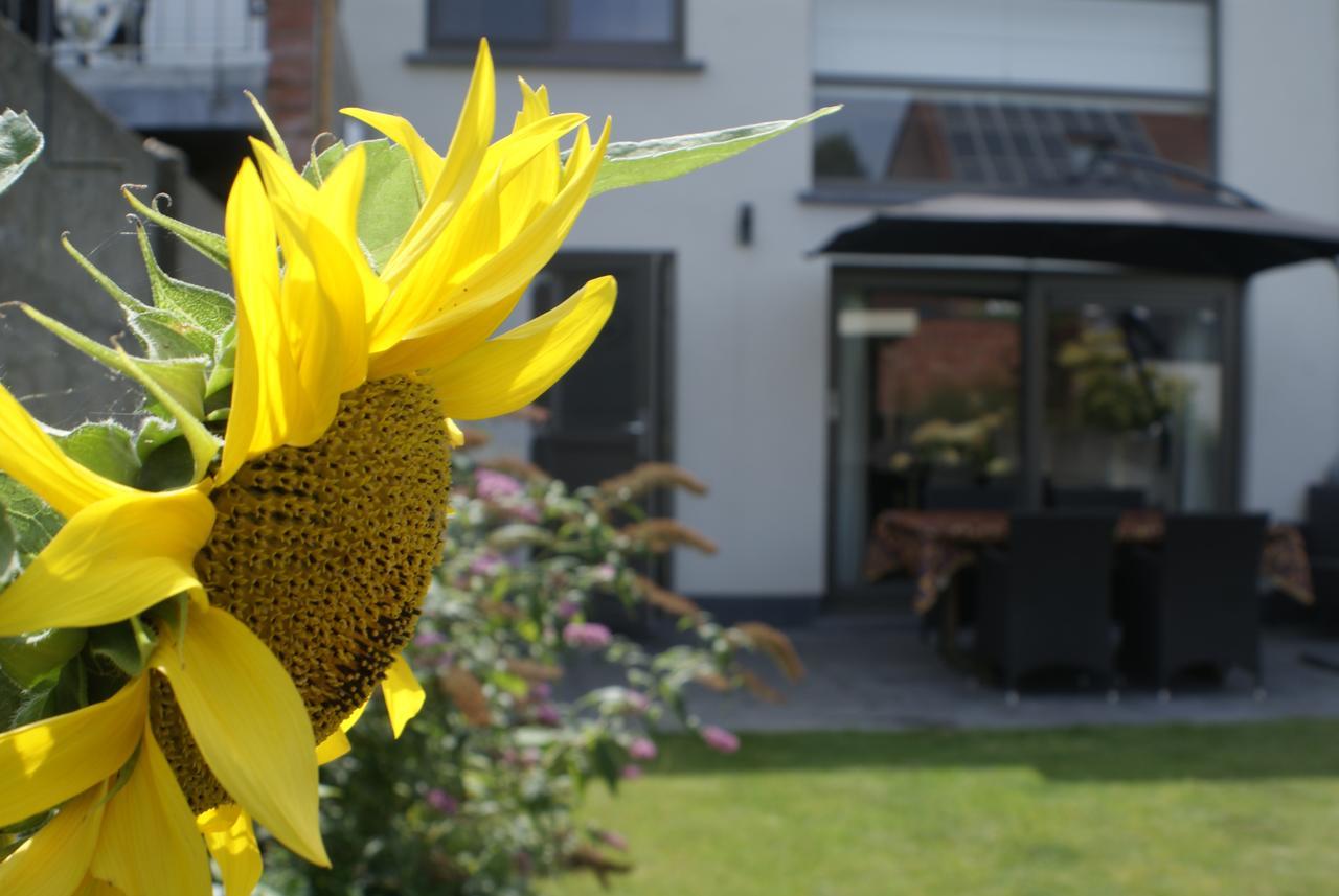 B&B Klinkaart Rumst Bagian luar foto
